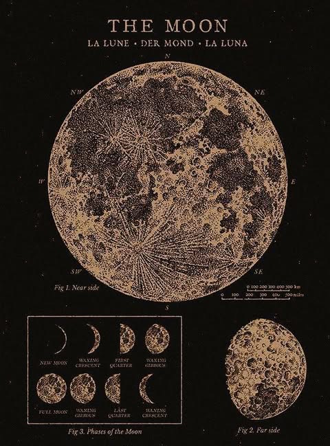 Vintage Moon Phases Poster | Astronomy Wall Art